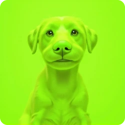 Lime Green Image Generator