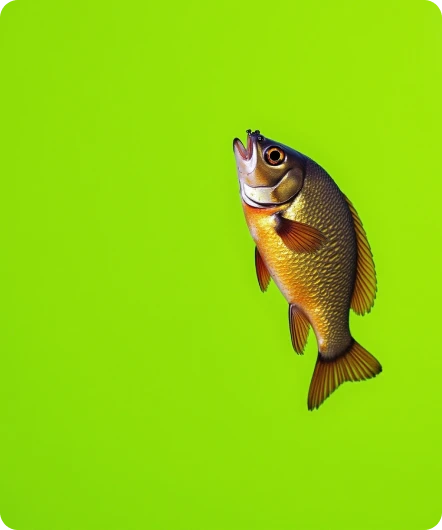 Lime Green Image Generator