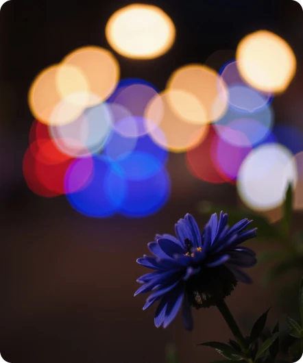 Street Bokeh Image Generator