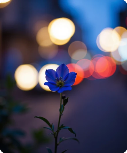 Street Bokeh Image Generator