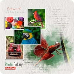 Collage Generator